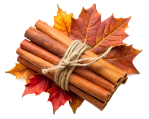 Bundle of cinnamon sticks tied with twine and autumn leaves isolated on transparent background