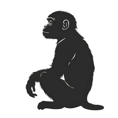 Fototapeta premium Macaque black silhouette isolated on a transparent background