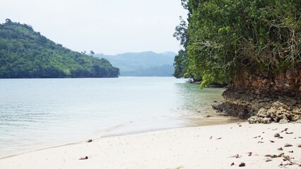 tropical beach with palm trees