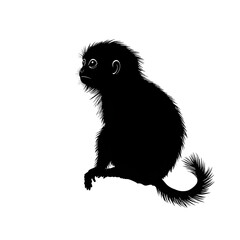 Fototapeta premium Marmoset black silhouette isolated on a transparent background