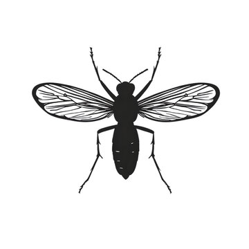 Mosquito black silhouette isolated on a transparent background