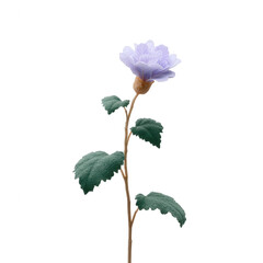 A beautiful single lavender flower with green leaves on a slender stem, set against a white isolated background.