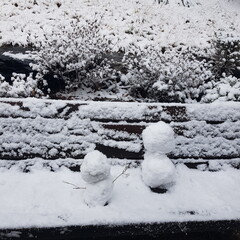 frozen snowmen in snowy winter