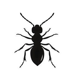 Termite black silhouette isolated on a transparent background