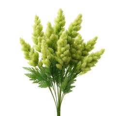 A vibrant bouquet of lush green flower stalks, showcasing a fresh, natural appearance. Ideal for floral design or home decor inspiration.