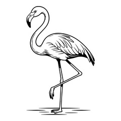 A black and white flamingo illustration line art of a coloring and  © siful art