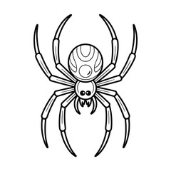 Obraz premium A black and white spider illustration line art of a coloring and