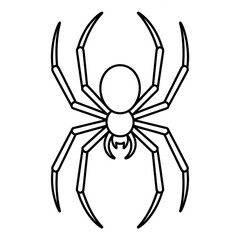 A black and white spider illustration line art of a coloring and 