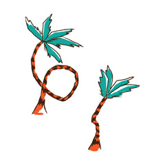 Palm tree asset design graphic