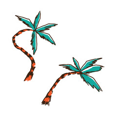 Palm tree asset design graphic