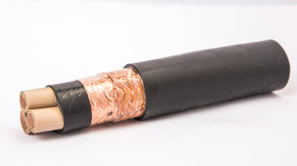 Cross section of high-voltage cable, polymer insulation 