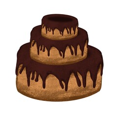 Delicious Chocolate Cake on White Background