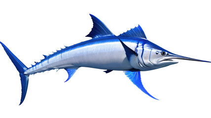 Obraz premium Blue Marlin