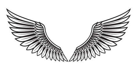 Obraz premium Black and White Detailed Pair of Wings Illustration