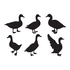 set of silhouettes of duck