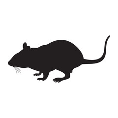 vector illustration of a mouse