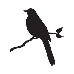 vector illustration of a bird