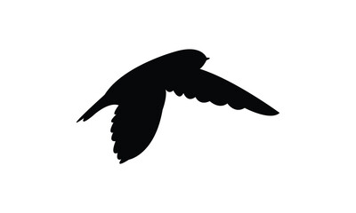 Flying Ameline swiftlet bird Silhouette Design  And Vector Illustration. 