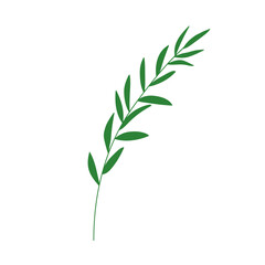 Fototapeta premium Leaf branch, greenery. Delicate olive leaves, sprig, green twig. Botanical design element, laurel decoration. Natural organic foliage decor. Flat vector illustration isolated on white background