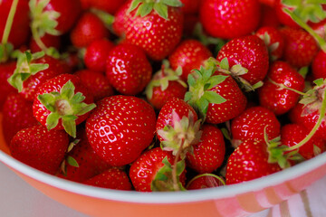 Fresh sweet strawberries in a white bowl on a white background. Seasonal berries.