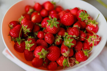 Fresh sweet strawberries in a white bowl on a white background. Seasonal berries.