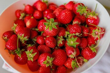 Fresh sweet strawberries in a white bowl on a white background. Seasonal berries.