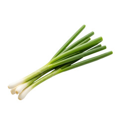 Fresh green onions on black background