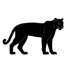 Obraz premium Cougar (Mountain Lion) black silhouette isolated on a transparent background