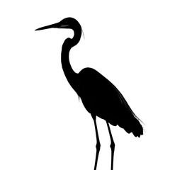 Obraz premium Egret black silhouette isolated on a transparent background