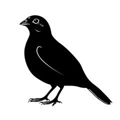 Fototapeta premium Quail black silhouette isolated on a transparent background