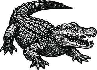 Naklejka premium Black and White Alligator Illustration Detailed Scaly Reptile