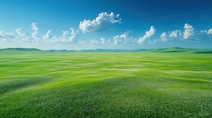 Fototapeta premium Vast, vibrant green field under a clear blue sky, dotted with small white flowers