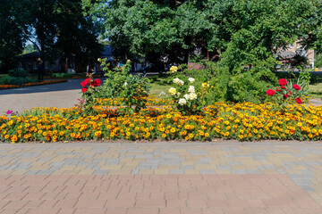 Colorful flower bed in sunny public park