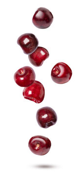 Red cherry falling isolated on transparent background. 