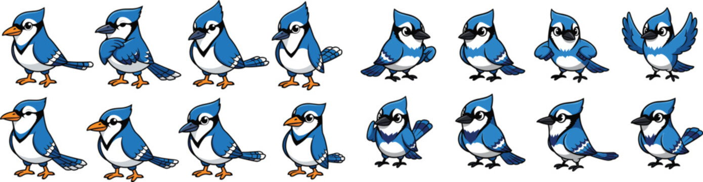 Cartoon blue jay bird poses, standing, preening, flapping wings vector illustration