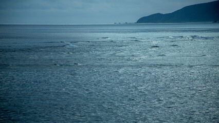 夏の奄美大島の夜明けの風景。