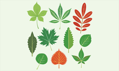 Obraz premium Hand Drawn Autumn Leaves Clipart Collection: Fall Maple, Oak, Chestnut, Green, Orange, Yellow Leaves