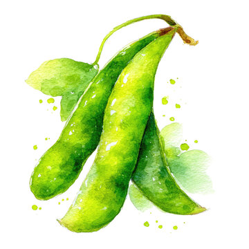 Green pea pods with watercolor splatter on white background. Fresh garden harvest and natural nutrition concept. Perfect for recipe blogs, packaging, menus, and organic food branding.