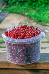 A plastic container with a cherry harvest in close-up