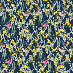 Golden acacia flowers with fairy wrens seamless pattern. Hand drawn watercolor illustration. Golden wattle with Australian native birds floral decoration elegant pattern design on dark background