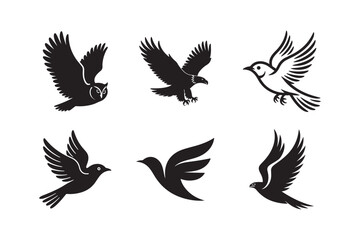 Fototapeta premium Collection of six stylized black bird silhouettes in flight on white background