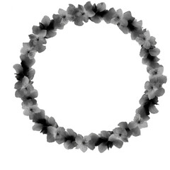 Obraz premium A delicate circular floral wreath featuring soft black and white petals, ideal for various creative projects and designs.