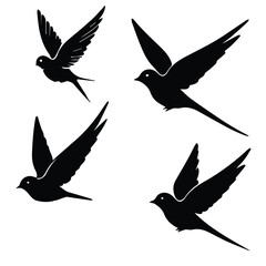 Fototapeta premium Silhouette of four birds in flight against a white background. Simple, stylized avian silhouettes in flight.