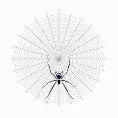 Fototapeta premium Spider captured mid-spin creating geometric web pattern, rendered in technical line style.