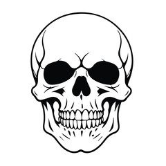 Fototapeta premium Skull graphic with neutral tone. Front view, neutral expression, and detailed anatomical structure against a plain background.
