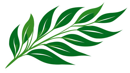 Vibrant green leaf on white background, a study in texture and natural design