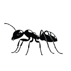 Black and white silhouette of an ant in profile view. Simple, stylized illustration of an ant against a plain background.