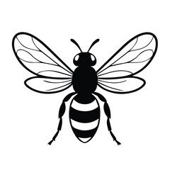 Obraz premium Black and white illustration of a bee in flight. Simple, stylized depiction of a bee in mid-flight with detailed wings and segmented body.