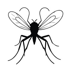 Fototapeta premium Mosquito silhouette in a neutral color scheme. Static image with a plain white background.