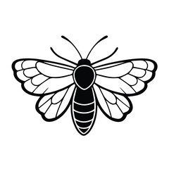 Moth illustration with detailed wings and body in a graphic design aesthetic. Silhouetted moth design on a plain white background.